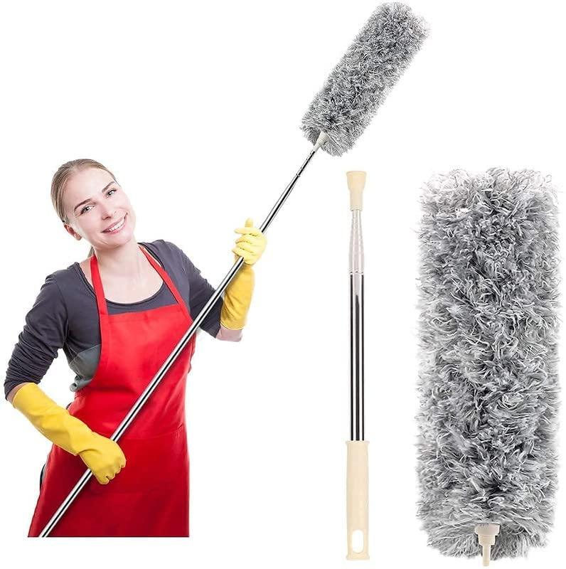 Reach Master Mop with Long Rod